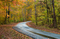 Autumn Glory Drive